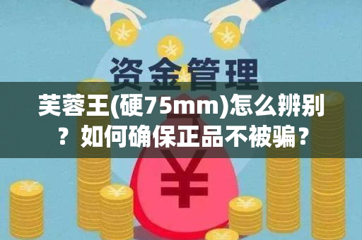 芙蓉王(硬75mm)怎么辨别？如何确保正品不被骗？